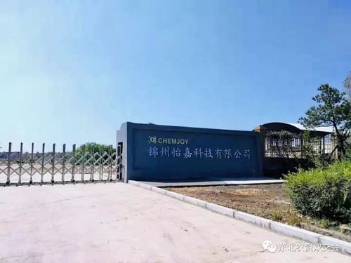 锦州怡嘉科技与至嘉科技 携手共进的科技创新之路